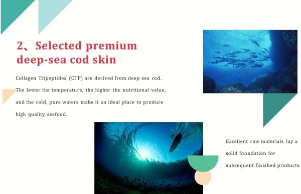 CTP Essence Powder - 100% Hydrolyzed Collagen Peptide Powder - Image 6