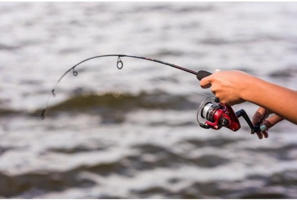 Ugly Stik Dock Runner Spinning Reel and Fishing Rod Combo - Image 8