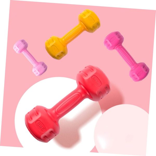 1pc Fitness Dumbbell for Halteres Garage Sports Equipment Organizer - Image 5