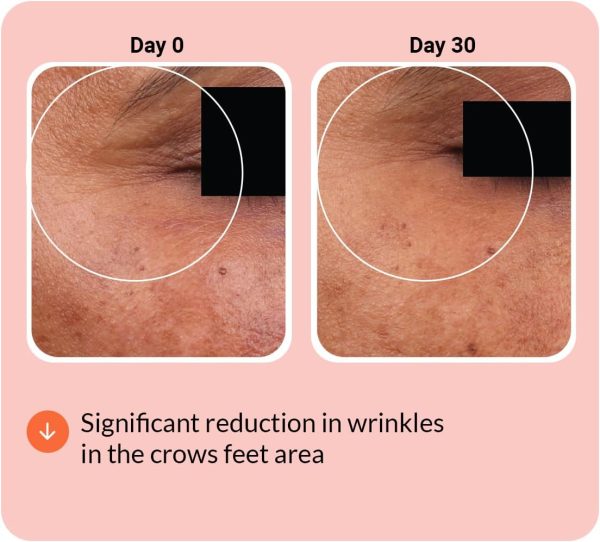 Collagen+Antioxidants - Image 6