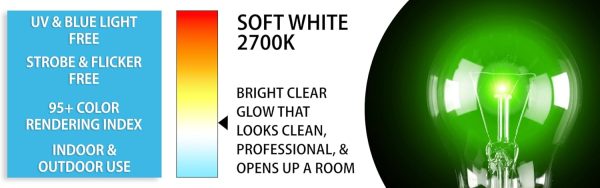 Mandala Crafts Clear 25 Watt Green Light Bulbs E26 Medium Base 120V 25W - Image 4