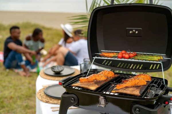 Megamaster 820-0065C 1 Burner Portable Gas Grill for Camping, Outdoor - Image 8