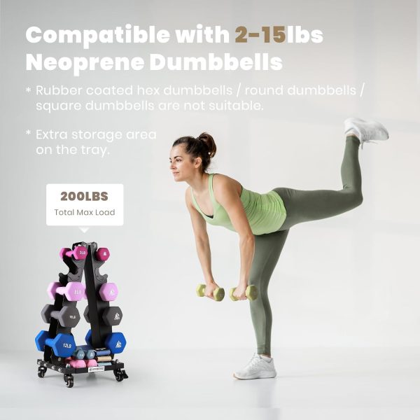 LIONSCOOL Premium Solid Steel Dumbbell Rack Stand Only, A-Frame Portable - Image 5
