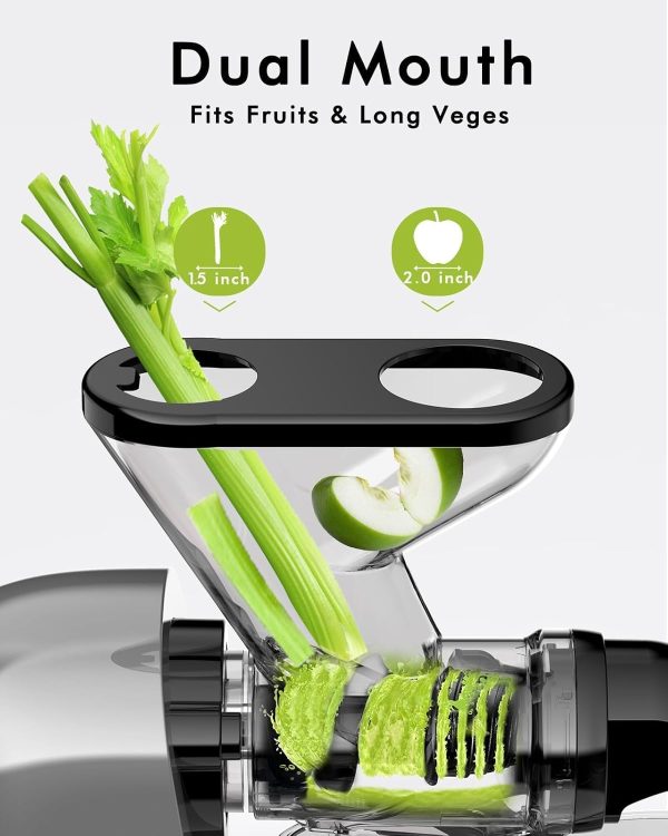 SiFENE Cold Press Juicer Machine, Compact Single Serve Slow Masticating - Image 2