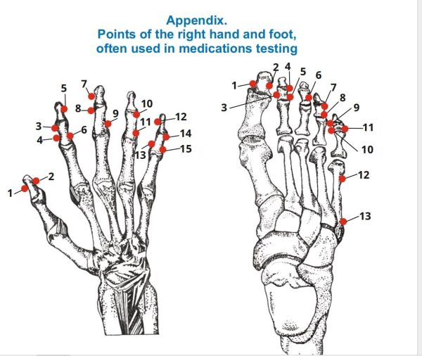 EAV Electro Acupuncture Diagnostic Device According R. VOLL Method - Image 5
