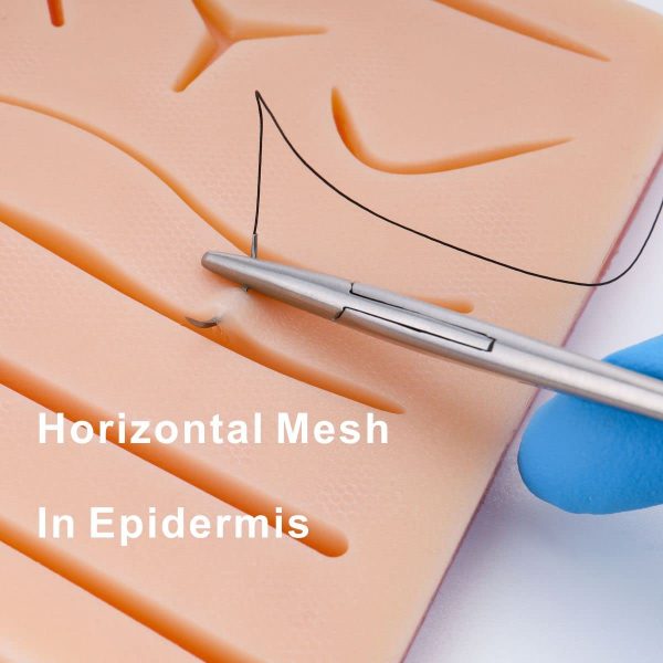 Suture Practice Training Kit for Medical PA, NP Students, Residents - Image 7