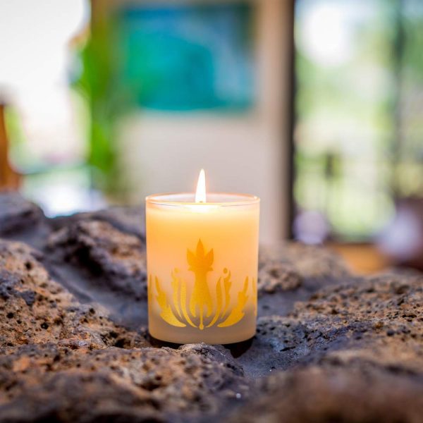 Malie Organics Soy Candle, Pikake - Image 4