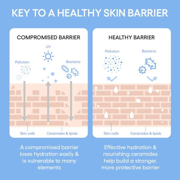 LANEIGE Cream Skin Refillable Toner & Moisturizer with Ceramides and - Image 8