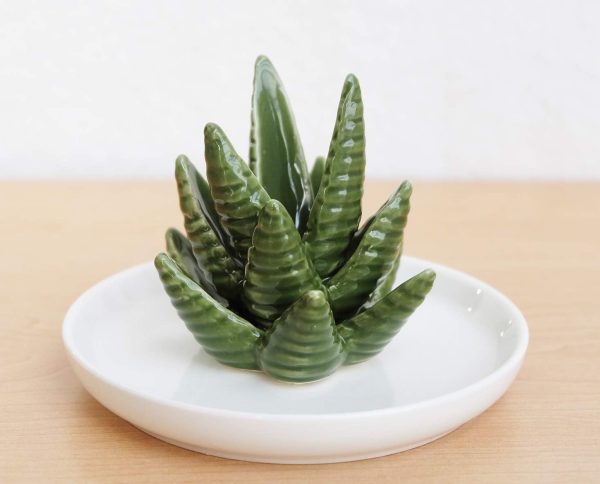 PUDDING CABIN Aloe Ring Holder,Cactus Ring Dish,Jewelry Holder Trinket Tray - Image 6