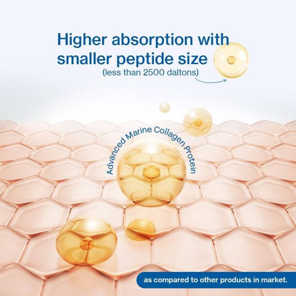 Advanced Marine Collagen Proteins Powder with Hyaluronic Acid, Glutathione - Image 3