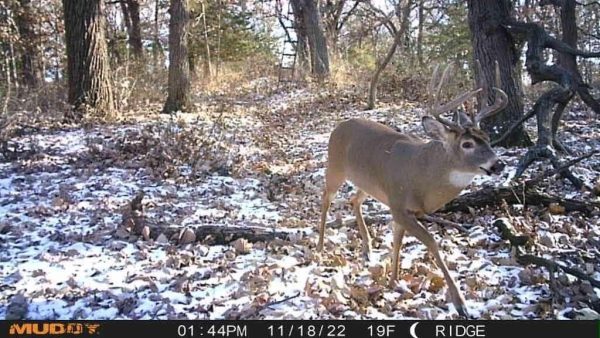 Muddy Mitigator Cellular 24MP Imaging Trail Camera with 80 Feet Detection - Image 7