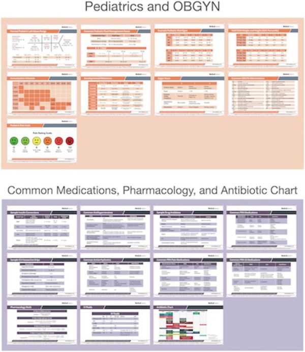 Nursing Scrubnotes by Medical Basics - 56 Nursing Badge Reference Card Set - Image 5