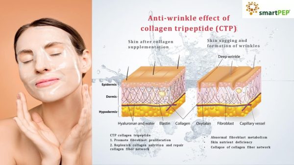 CTP Essence Powder - 100% Hydrolyzed Collagen Peptide Powder - Image 9