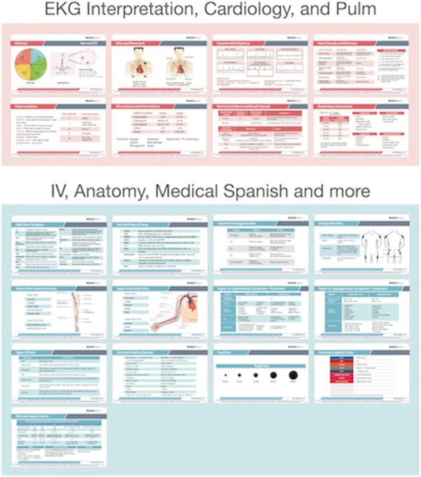 Nursing Scrubnotes by Medical Basics - 56 Nursing Badge Reference Card Set - Image 3