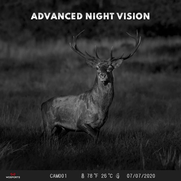 WOSPORTS Mini Trail Camera 2 Pack 24MP 1080P HD, Hunting Camera with Night - Image 4