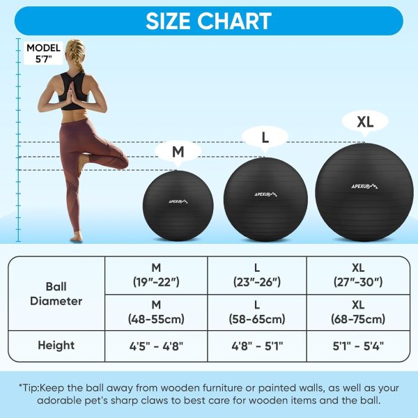 APEXUP Yoga Ball Exercise Ball, Pilates Ball, Anti Slip Stability Ball, - Image 4