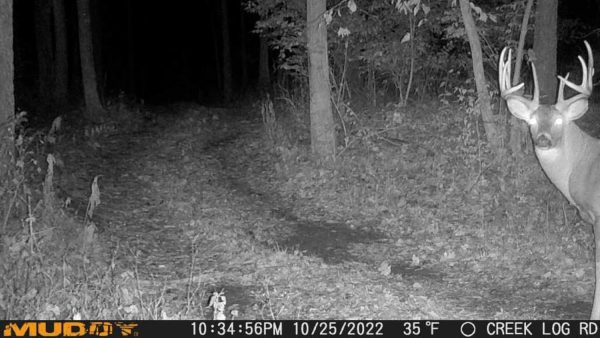 Muddy Mitigator Cellular 24MP Imaging Trail Camera with 80 Feet Detection - Image 5