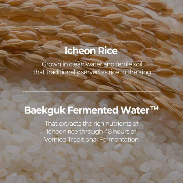 SKINFOOD Rice Daily Serum, Korean Skincare Facial Essence for Glow Glass - Image 3
