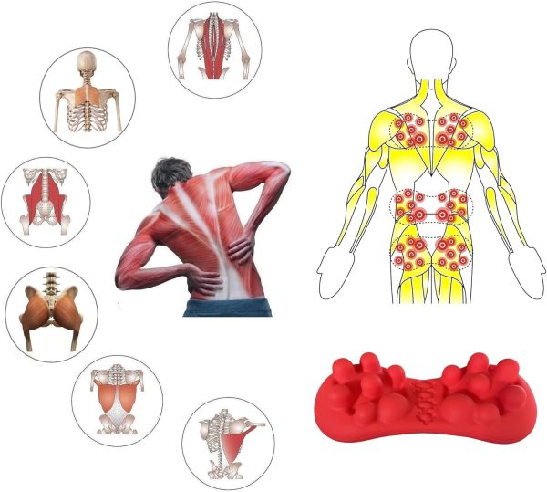 Back Trigger Point Massager, Gluteus Massager, Myofascial Release - Image 2