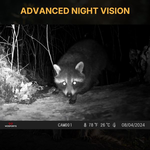 WOSPORTS Mini Trail Camera 24MP 1080P Game Hunting Camera with Night Vision - Image 4