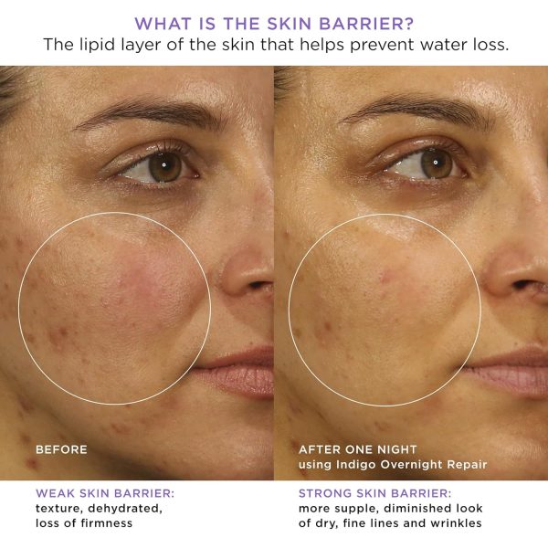 TATCHA Indigo Overnight Repair | Face Cream & Serum Treatment, Fragrance - Image 3