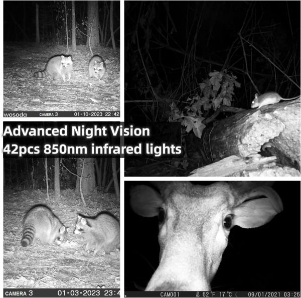 Trail Camera 2 Pack 30MP 1080P HD - Game Camera with 32GB SD Card, Fast - Image 3
