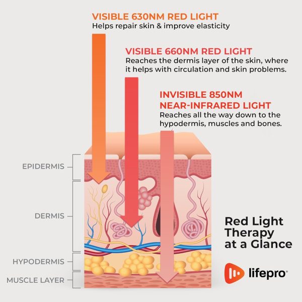 LifePro Infrared & Red Light Therapy for Body Joints & Muscles Pain Relief, - Image 5