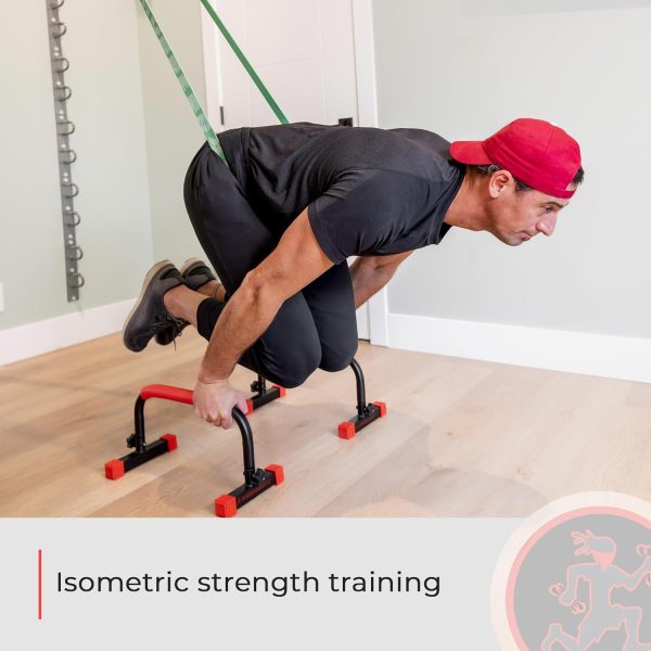 Rubberbanditz Parallette, Parallel Bars & Dip Station | At Home Gym Workout - Image 8