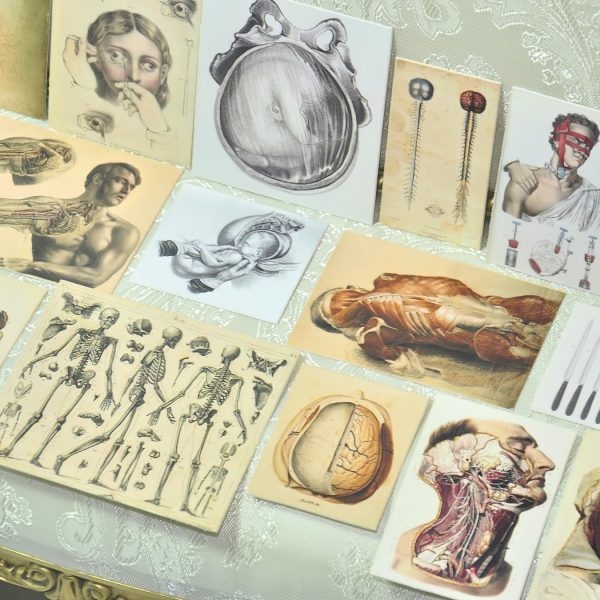 57 Pcs 1/6 Scale Miniature Vintage Medical Posters - Realistic Mini Things - Image 8