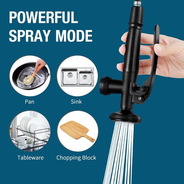 Qomolangma Black Gold Commerical Kitchen Faucet with Pull Down Sprayer, - Image 4