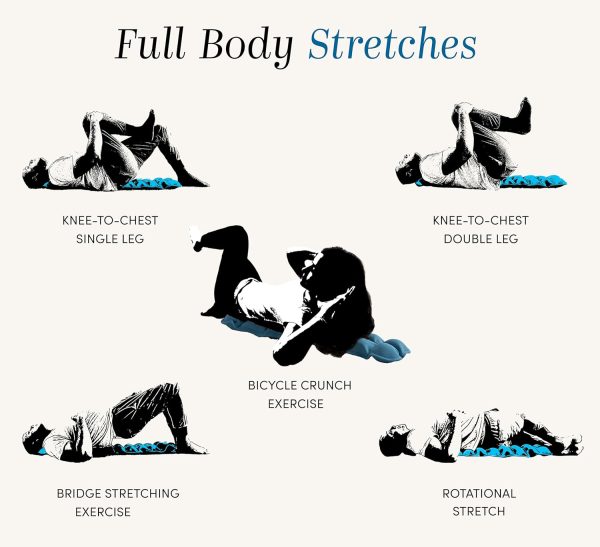 Halo Spine Stretcher for Back Pain Relief, Full Back Decompression, Upper - Image 7