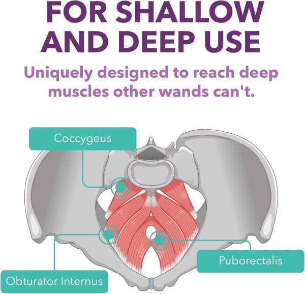 IntimateRose Vibrating Pelvic Wand, Pelvic Floor Muscle Trigger Point - Image 6