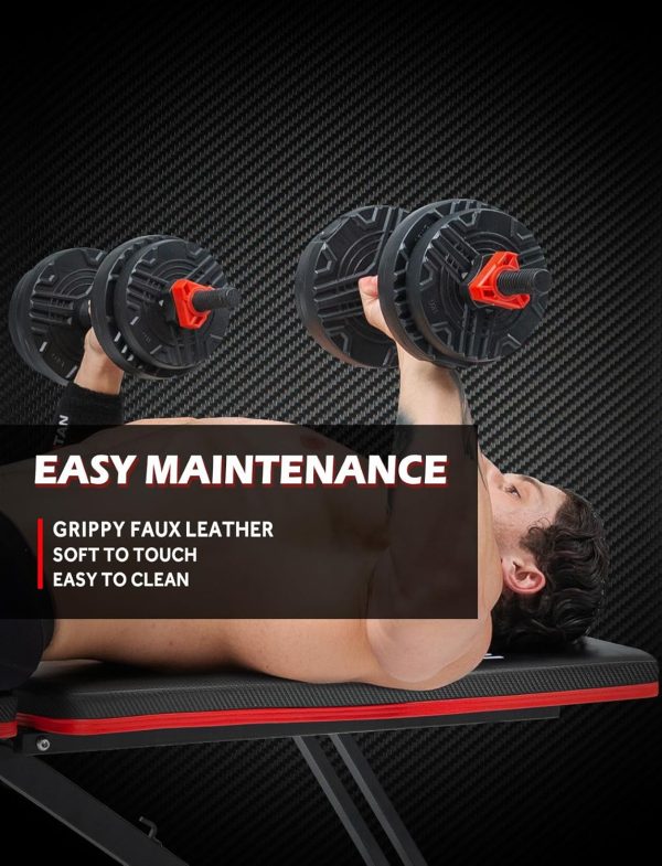 Weight Bench, Adjustable Strength Training Benches for Full Body Workout, - Image 7