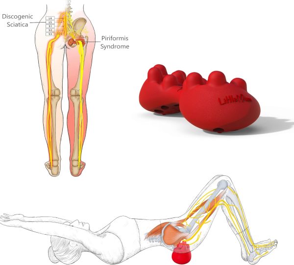 Back Trigger Point Massager, Gluteus Massager, Myofascial Release - Image 4