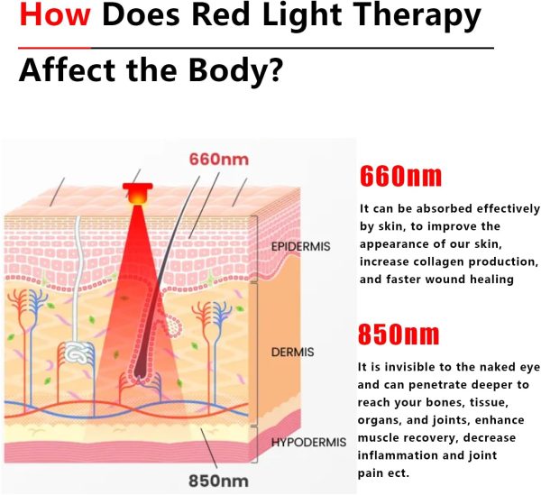 Red Infrared Light Therapy Lamp with Adjustable Stand & Holder for Face and - Image 6