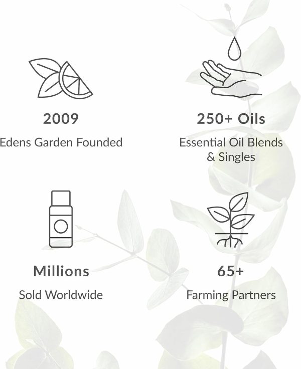 Edens Garden Elemi Essential Oil- 100% Pure Premium Grade, Undiluted, - Image 6
