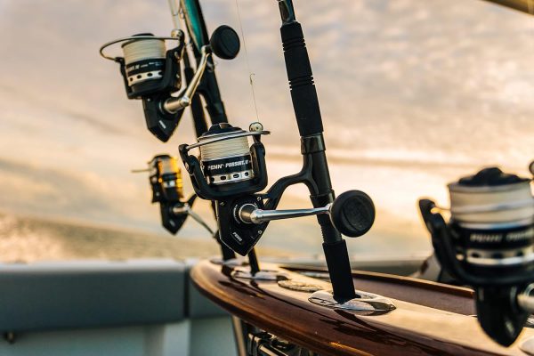 PENN Pursuit III & Pursuit IV Spinning Reel and Fishing Rod Combo - Image 12