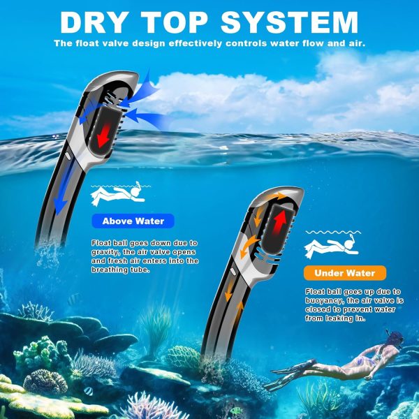 Snorkeling Gear for Adults, Felidel Snorkel Mask Adult Dry Top Snorkel Set - Image 3
