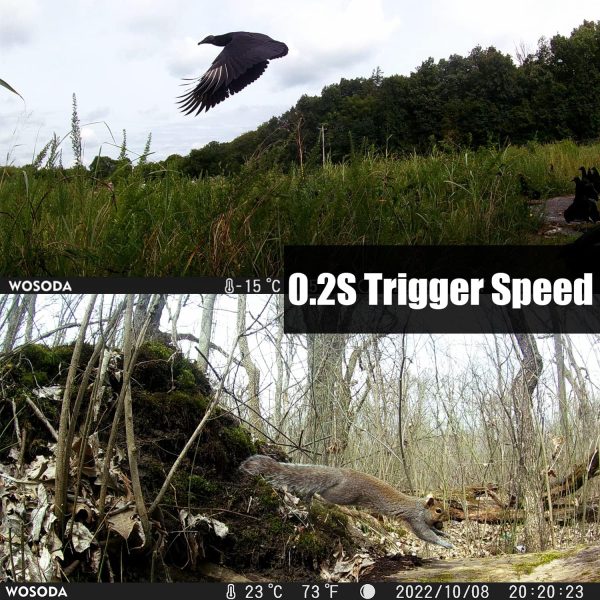 36MP 1920P Trail Camera, Game Camera with Night Vision Motion Activated - Image 3