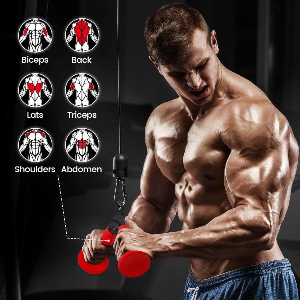 V-shaped Bar Straight Rotating Bar Curl LAT Pull Down Bar D Handle Double D - Image 5
