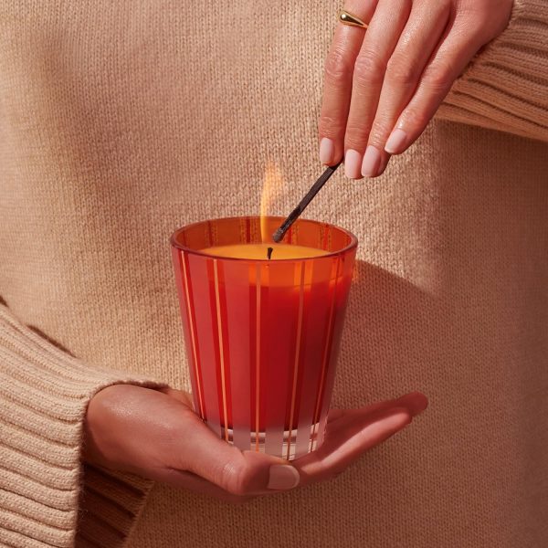 NEST New York Scented Classic Candle, Pumpkin Chai - 8.1 oz - Up to 60-Hour - Image 2