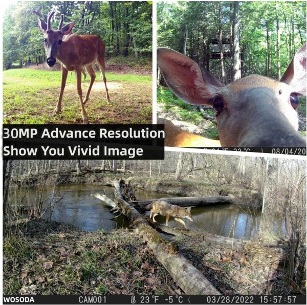 Trail Camera 2 Pack 30MP 1080P HD - Game Camera with 32GB SD Card, Fast - Image 2