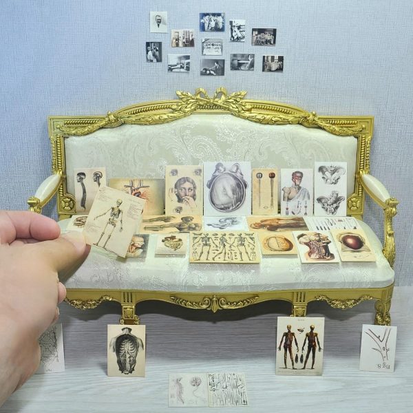 57 Pcs 1/6 Scale Miniature Vintage Medical Posters - Realistic Mini Things - Image 7