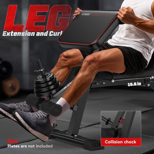 FLYBIRD Adjustable Weight Bench with Leg Extension and Curl Machine, - Image 4