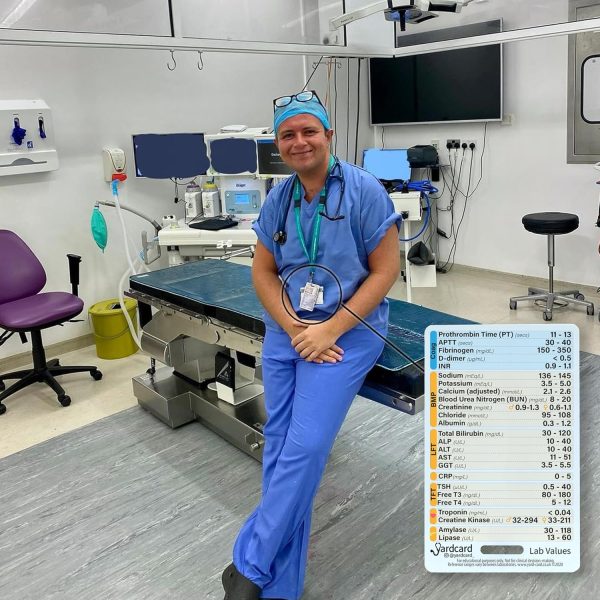 Badge Card Set: Includes Lab Ranges, EKG Interpretation, Glasgow Scale, - Image 6