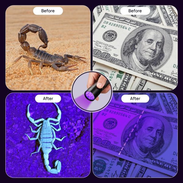 UV Flashlight Black Light, Consciot 12 LED 395nm Ultraviolet Blacklight, - Image 6