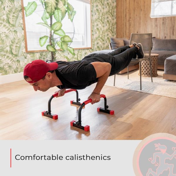 Rubberbanditz Parallette, Parallel Bars & Dip Station | At Home Gym Workout - Image 9