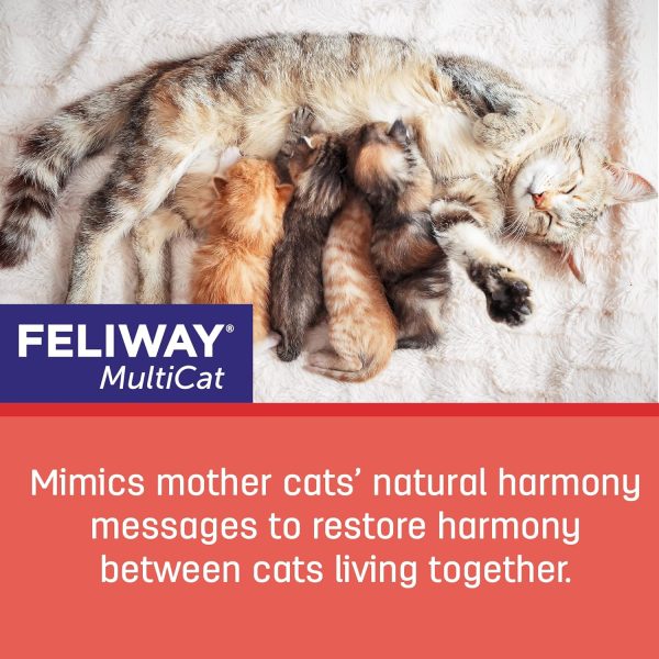 FELIWAY MultiCat Calming Pheromone, 30 Day Refill - 6 Pack - Image 5