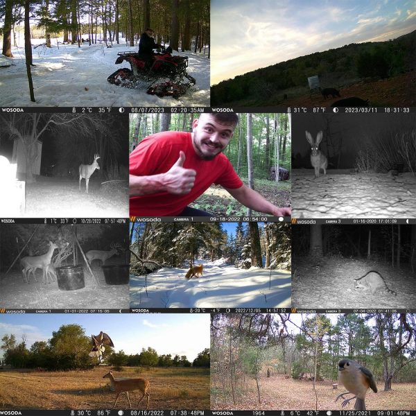 36MP 1920P Trail Camera, Game Camera with Night Vision Motion Activated - Image 2
