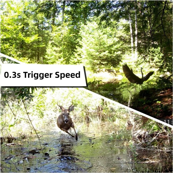 Trail Camera 2 Pack 30MP 1080P HD - Game Camera with 32GB SD Card, Fast - Image 4